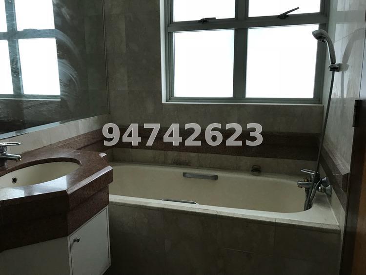 Sunshine Plaza (D7), Apartment #174676212